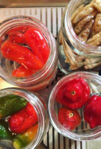 Guide to Chilli Fermentation 