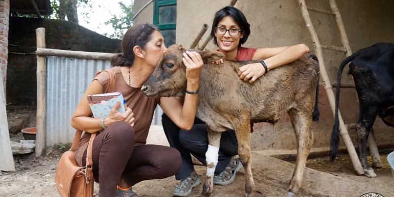 Peepal Farm Foundation (Himachal Pradesh)