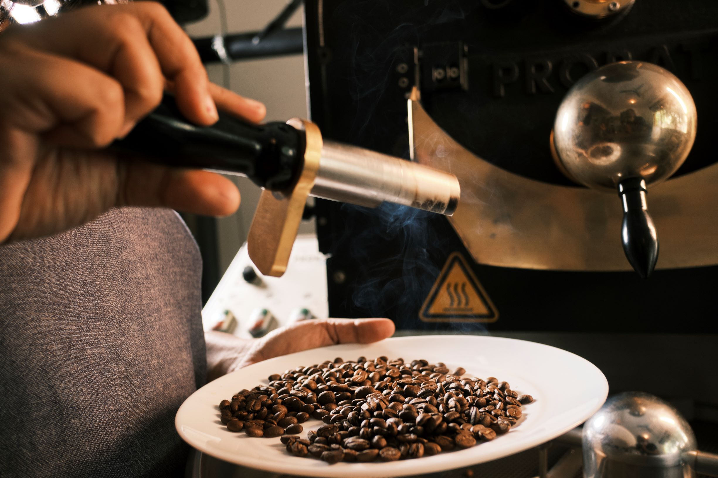 Coffee Farming in India - black baza